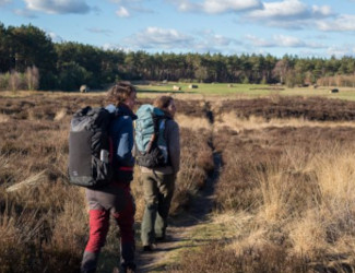 hikehouse bushcraftfestival