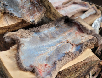 reeenpoot bushcraftfestival 1